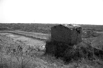 湿地被挖现场图二